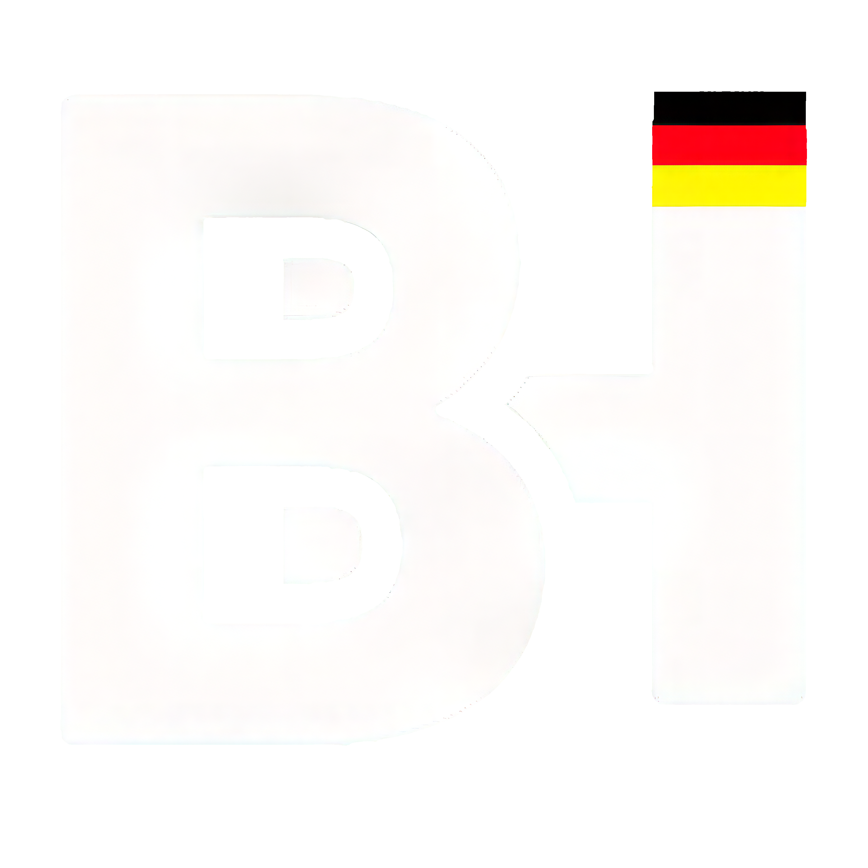 Bergman Holding